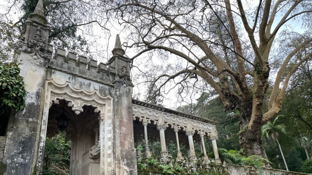 Gray old houselike gate to a green park. Old big tree growing there.