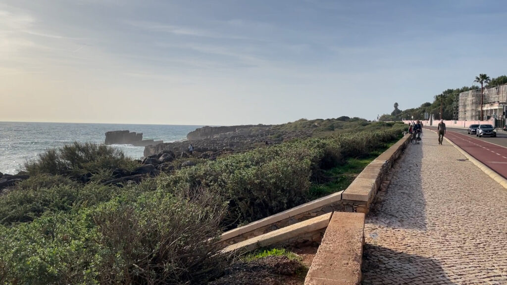 Coastline, walking pavement and biking line.