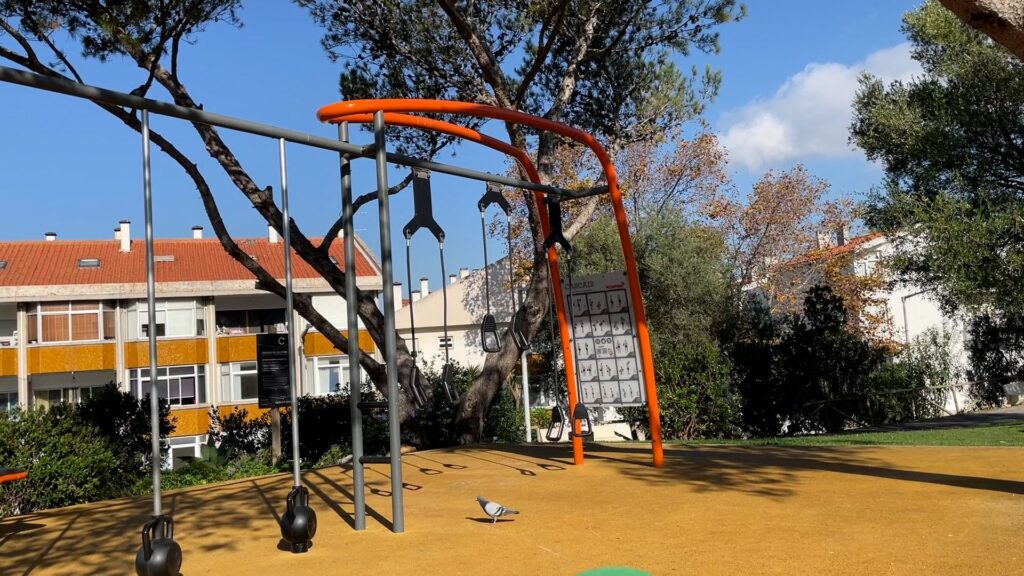 Sunny day at the outdoor gym.